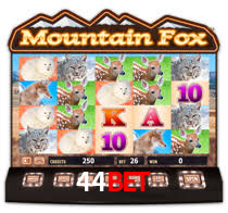 Daily Bonuses 44bet